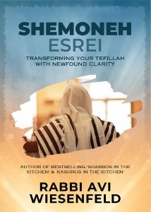 Picture of Shemoneh Esrei Transforming your Tefillah with newfound clarity [Hardcover]